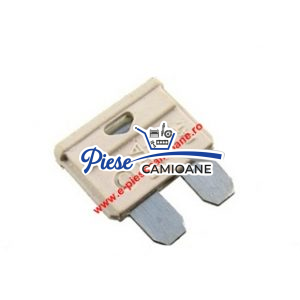 099837025 – Fuse 25A