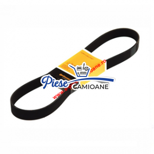 DAY8PK2130-Belt