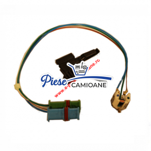 EB252069010200- D2 SENSOR FLAME